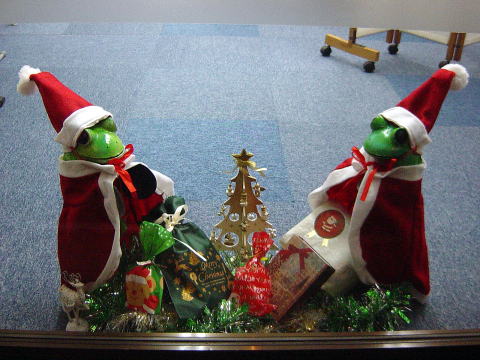 クリスマス飾り付け