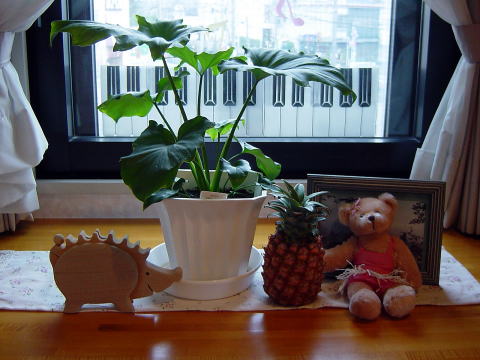 石垣島のピーチパイン