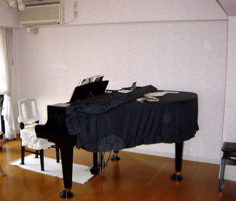 巨大なオーブらしき球体