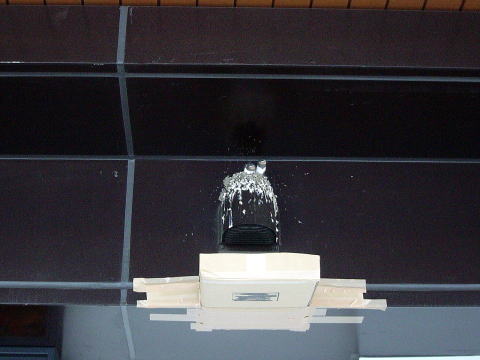 調布市のつつじヶ丘駅の花屋さんにできた燕の巣