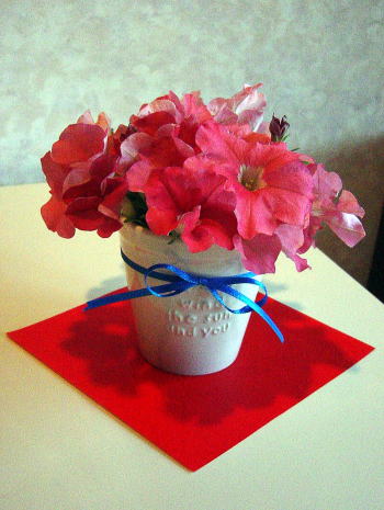 ペチュニアの生け花