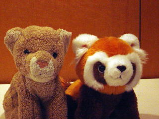 ライオンとアライグマの縫ぐるみ