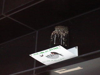 京王線つつじヶ丘駅の燕の巣