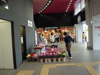 京王線つつじヶ丘駅の花屋さん