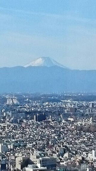 恵比寿ガーデンプレイス３８階からの眺め富士山