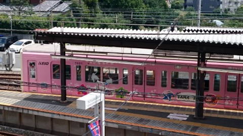 ピンクの京王線