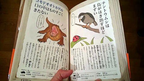 さんねんな生き物事典