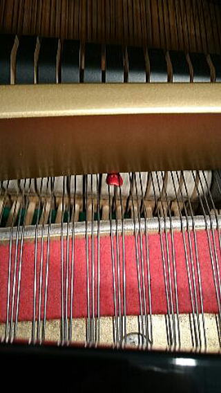 弦に雑音除けをつけました