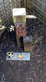 自宅のオブジェ