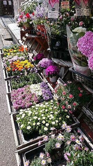 花屋の店頭
