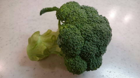 ブロッコリー